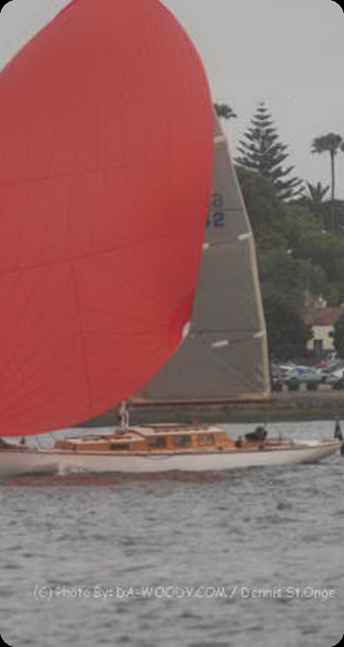 A Classic Sailing Yacht with a large red spinnaker sail glides on the water near the shore, with trees and parked cars visible in the background.