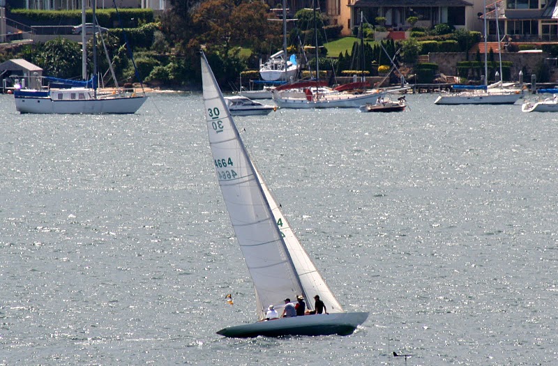 A white Skerry Cruiser with several people on board glides across a sunlit body of water, with other boats and waterfront houses visible in the background.