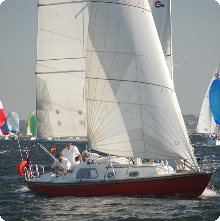 A white sailboat with a red hull sails on the water, crewed by several people. Other Classic Sailing Yachts with colourful sails compete in the background under a clear sky.