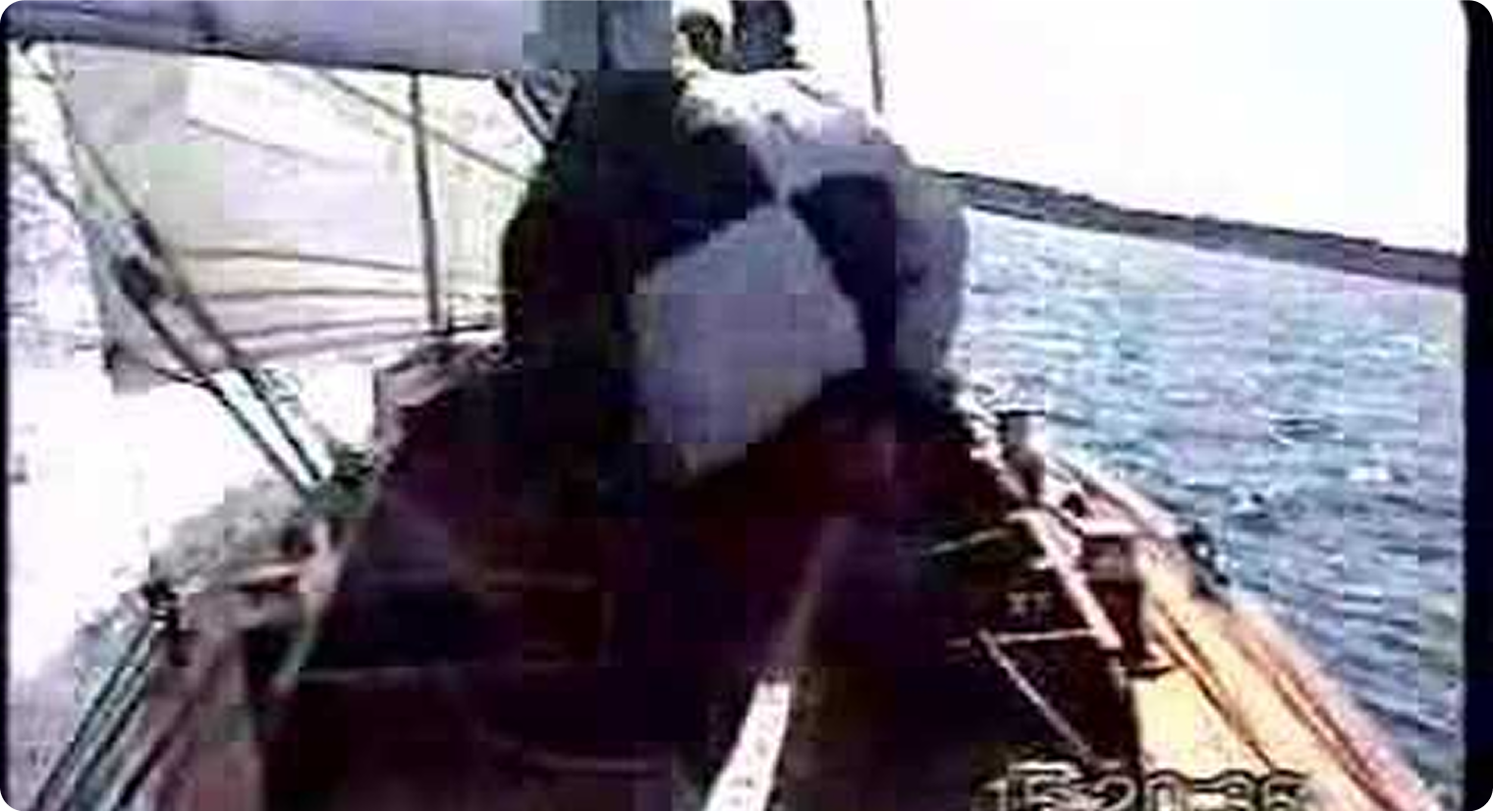 A person wearing a black and white chequered jacket sits on a wooden Skerry Cruiser sailboat, gliding across the water with its sail raised and distant land visible under a clear sky.