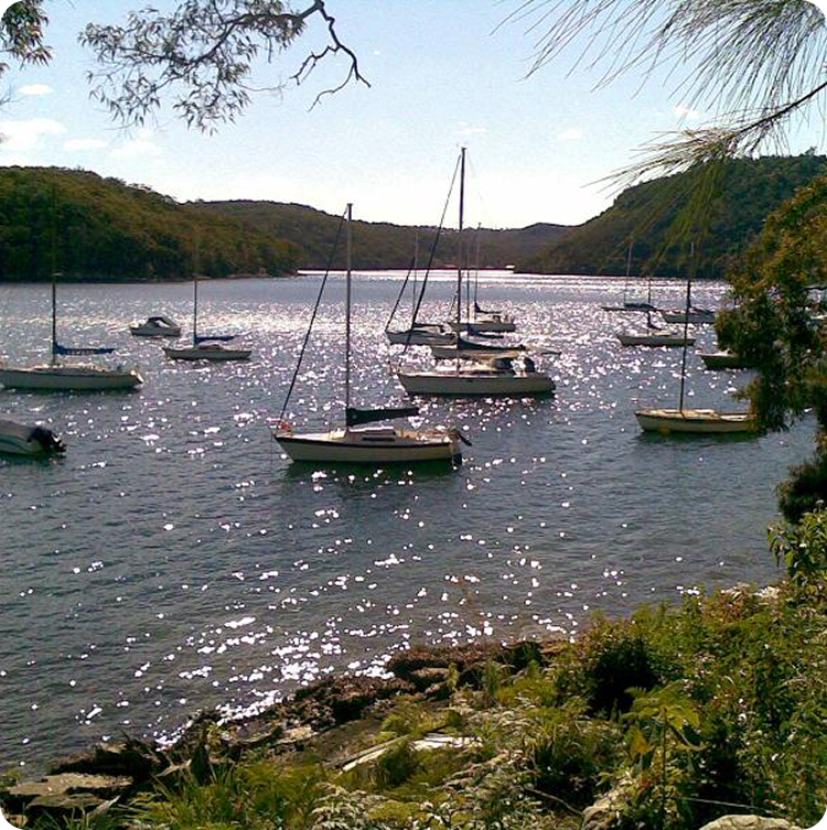 Several elegant Square Metre Yachts are anchored on a sparkling, sunlit river surrounded by green, tree-covered hills. Vegetation and rocks in the foreground beautifully frame this peaceful waterscape.