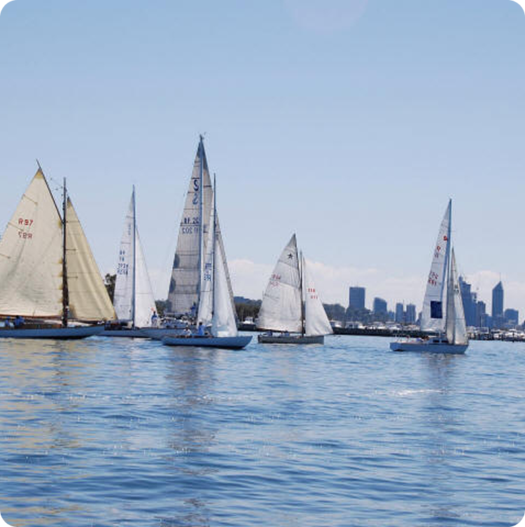 Several Classic Sailing Yachts and Schärenkreuzer with white and beige sails glide on calm blue water under a clear sky, with a city skyline visible in the background.