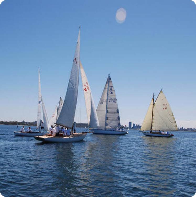 Four Classic Sailing Yachts with white sails glide on blue water under a clear sky. Several people are on board each boat, enjoying the journey. A city skyline is visible in the distant background.