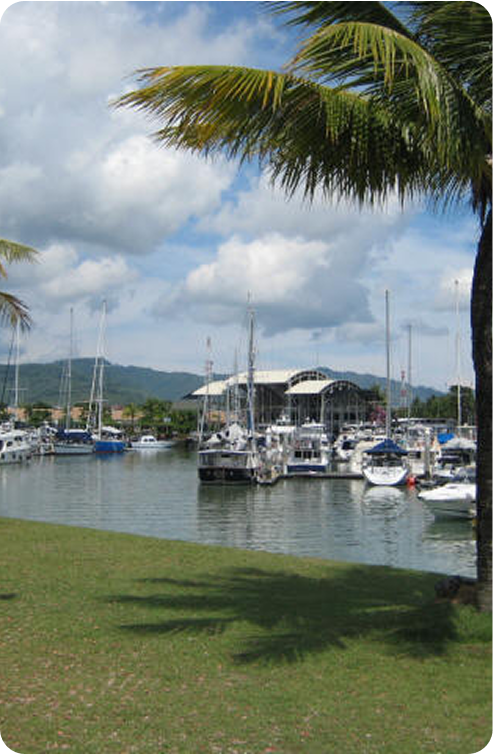 Boats and yachts, including elegant Skerry Cruisers, are moored at a marina, with a grassy area and palm trees in the foreground. Hills and a partly cloudy sky complete the serene scene in the background.