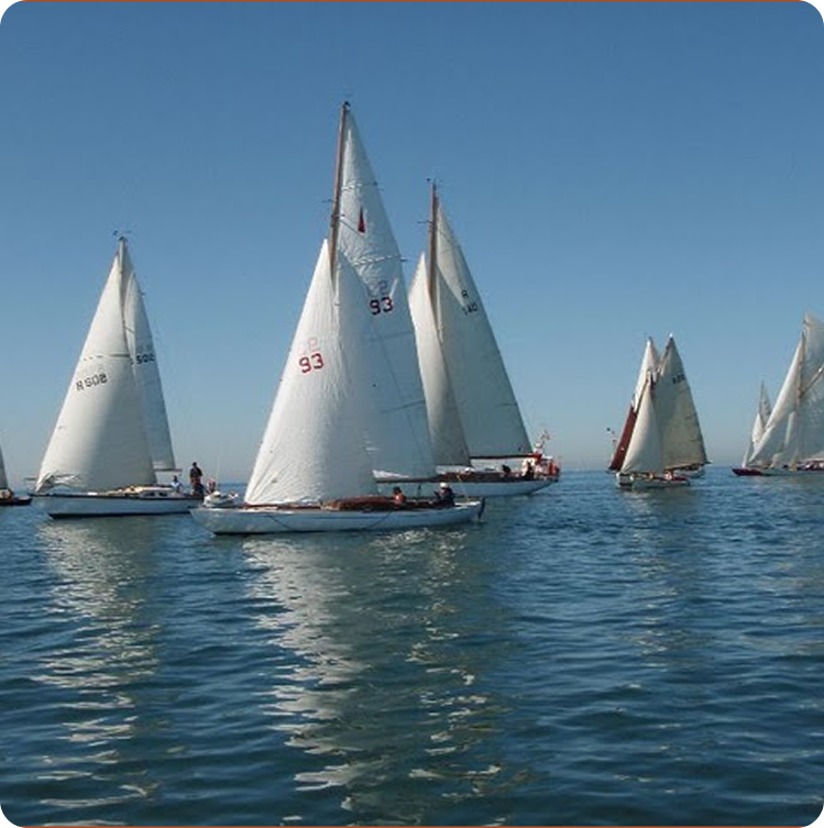 Several Classic Sailing Yachts with white sails glide on calm blue water under a clear sky. The boats are spaced out, their reflections visible, with people aboard some of the elegant vessels.