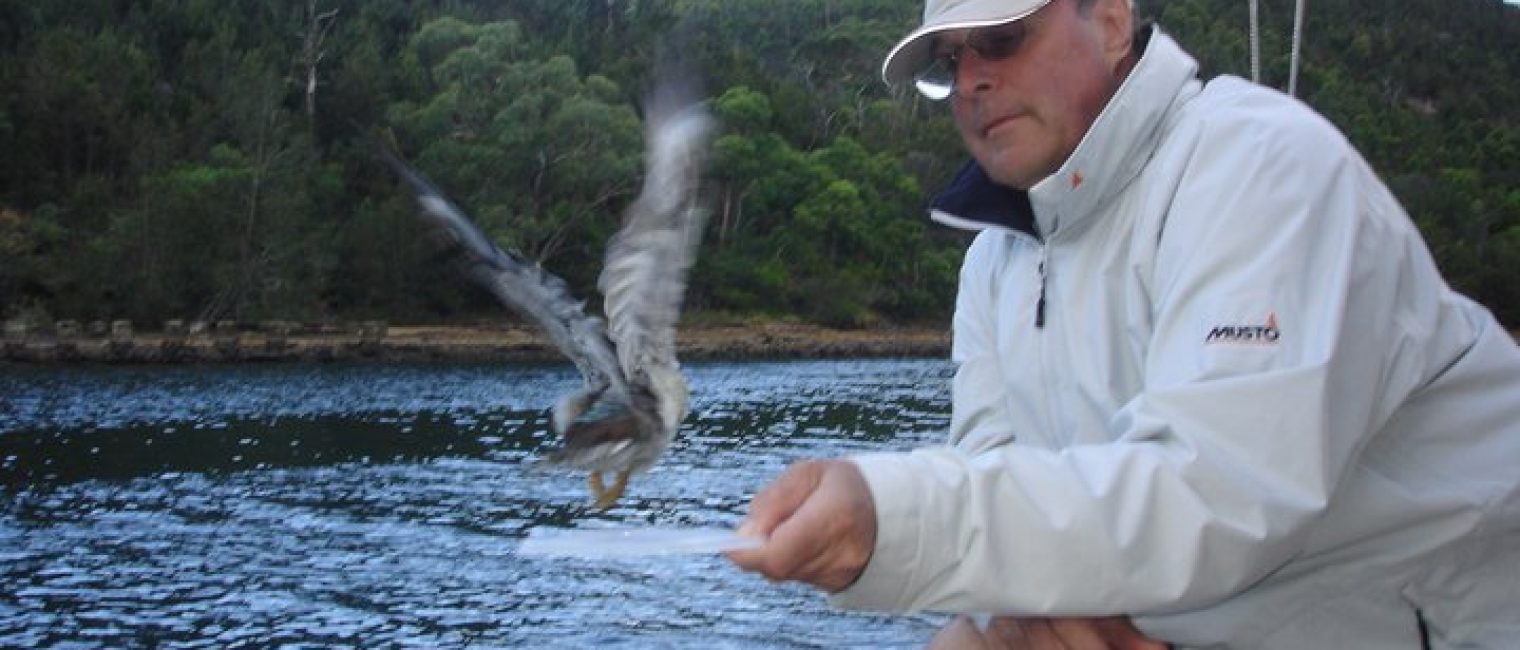 A man in a light jacket and cap sits by a lake, holding out his hand as a bird with outstretched wings takes food from him. Classic Sailing Yachts and Skerry Cruisers glide across the calm water, framed by forested hills in the background.